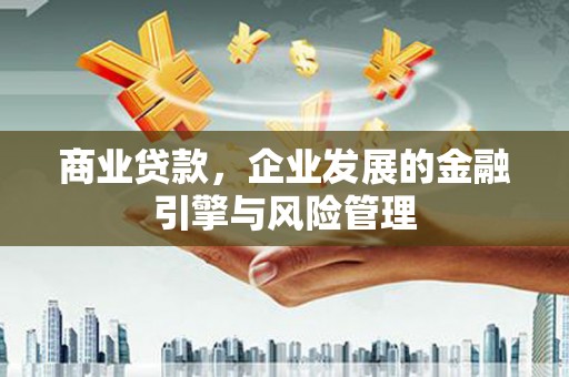 临潭商业贷款，企业发展的金融引擎与风险管理