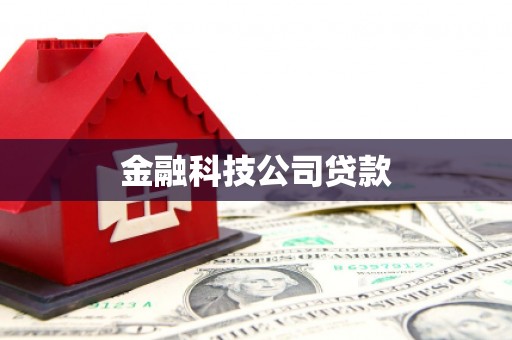 临潭金融科技公司贷款