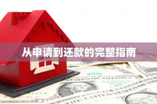 临潭从申请到还款的完整指南