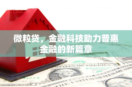 临潭微粒贷，金融科技助力普惠金融的新篇章