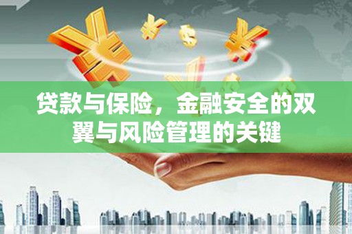 临潭贷款与保险，金融安全的双翼与风险管理的关键