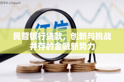 临潭民营银行贷款，创新与挑战并存的金融新势力