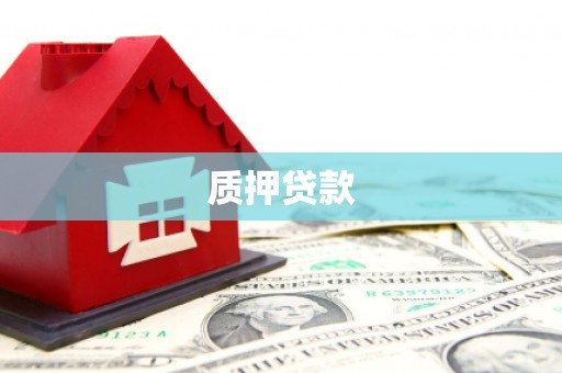 临潭质押贷款