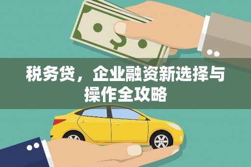 临潭税务贷，企业融资新选择与操作全攻略
