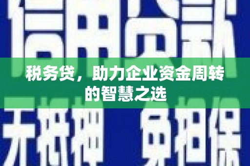 临潭税务贷，助力企业资金周转的智慧之选