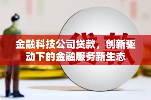 临潭金融科技公司贷款，创新驱动下的金融服务新生态