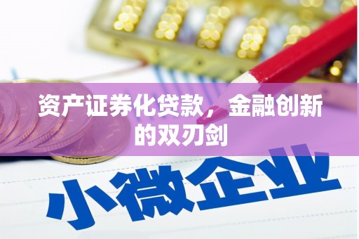 临潭资产证券化贷款，金融创新的双刃剑