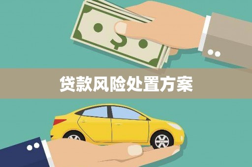 临潭贷款风险处置方案