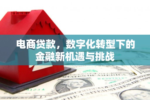 临潭电商贷款，数字化转型下的金融新机遇与挑战