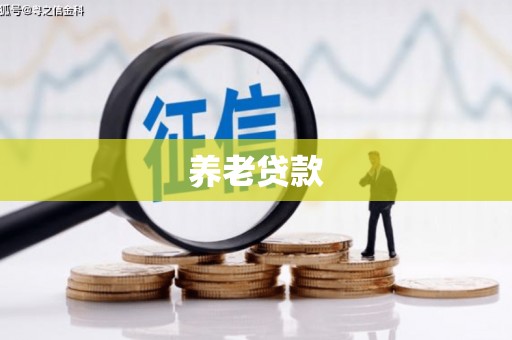 临潭养老贷款