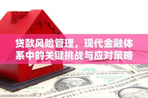 临潭贷款风险管理，现代金融体系中的关键挑战与应对策略