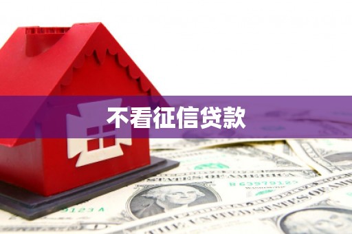 临潭不看征信贷款