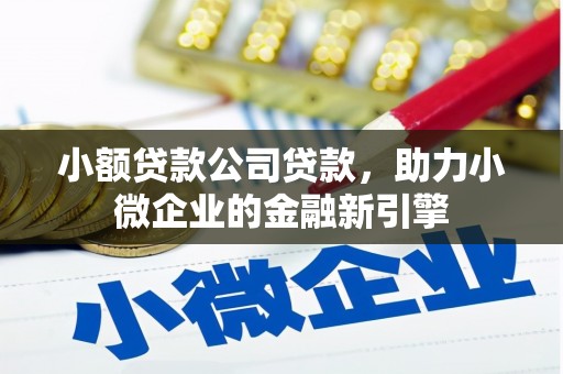 临潭小额贷款公司贷款，助力小微企业的金融新引擎