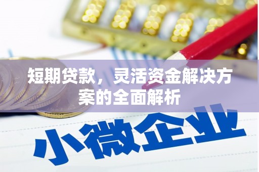 临潭短期贷款，灵活资金解决方案的全面解析