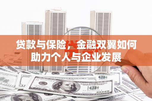 临潭贷款与保险，金融双翼如何助力个人与企业发展