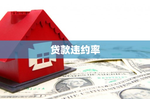 临潭贷款违约率
