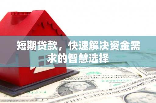 临潭短期贷款，快速解决资金需求的智慧选择