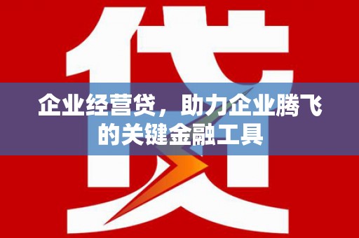 临潭企业经营贷，助力企业腾飞的关键金融工具