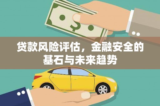 临潭贷款风险评估，金融安全的基石与未来趋势