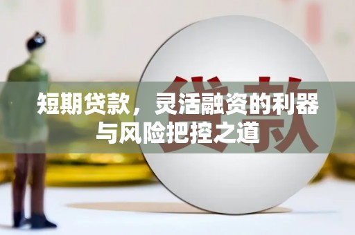 临潭短期贷款，灵活融资的利器与风险把控之道