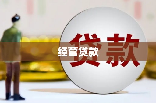 临潭经营贷款