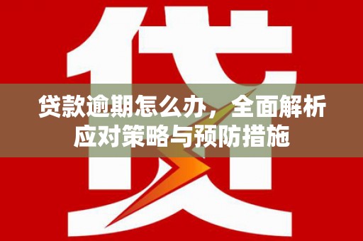 临潭贷款逾期怎么办，全面解析应对策略与预防措施