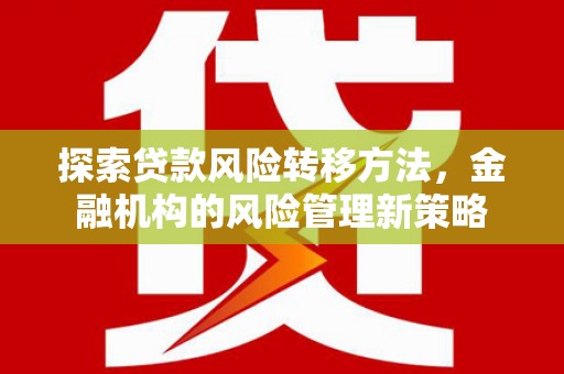 临潭探索贷款风险转移方法，金融机构的风险管理新策略