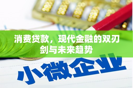 临潭消费贷款，现代金融的双刃剑与未来趋势