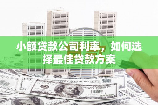 临潭小额贷款公司利率，如何选择最佳贷款方案