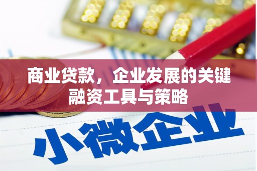 临潭商业贷款，企业发展的关键融资工具与策略