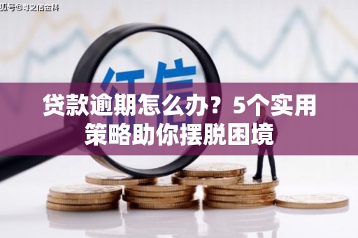 临潭贷款逾期怎么办？5个实用策略助你摆脱困境