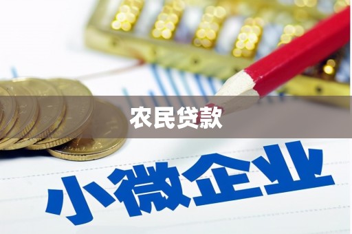 临潭农民贷款
