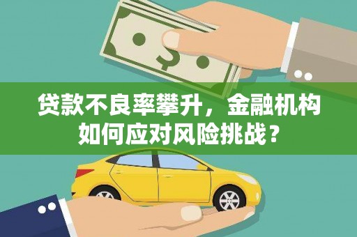 临潭贷款不良率攀升，金融机构如何应对风险挑战？