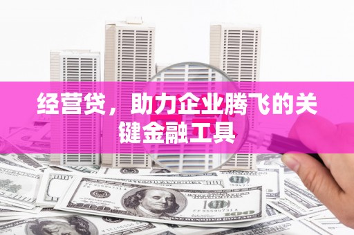 临潭经营贷，助力企业腾飞的关键金融工具
