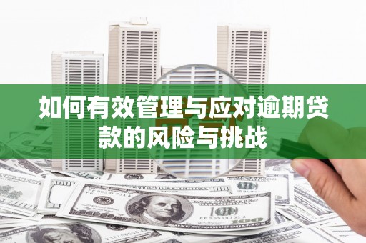 临潭如何有效管理与应对逾期贷款的风险与挑战