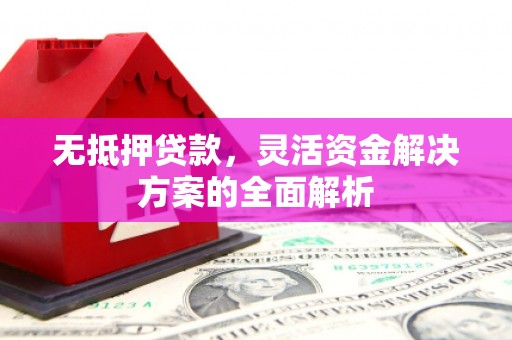 临潭无抵押贷款，灵活资金解决方案的全面解析