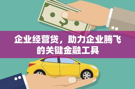 临潭企业经营贷，助力企业腾飞的关键金融工具
