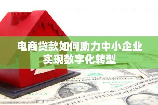 临潭电商贷款如何助力中小企业实现数字化转型