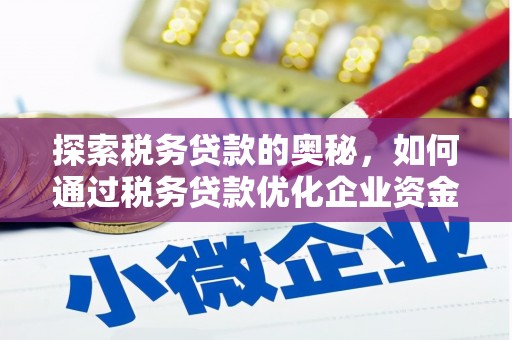 临潭探索税务贷款的奥秘，如何通过税务贷款优化企业资金流