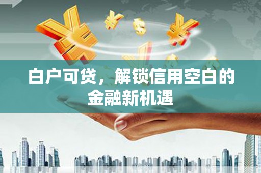 临潭白户可贷，解锁信用空白的金融新机遇