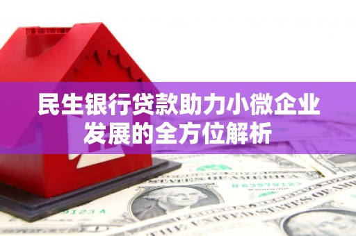 临潭民生银行贷款助力小微企业发展的全方位解析