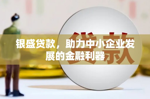 临潭银盛贷款，助力中小企业发展的金融利器