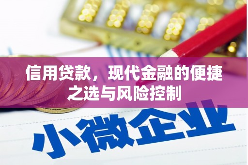 临潭信用贷款，现代金融的便捷之选与风险控制