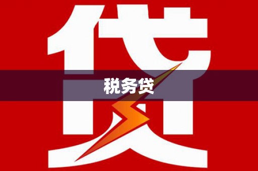 临潭税务贷