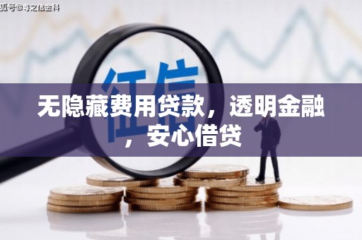 临潭无隐藏费用贷款，透明金融，安心借贷