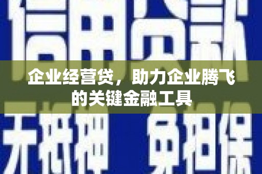 临潭企业经营贷，助力企业腾飞的关键金融工具