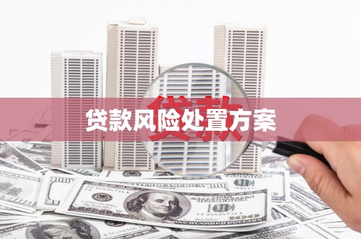 临潭贷款风险处置方案