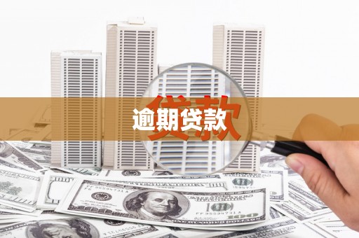 临潭逾期贷款