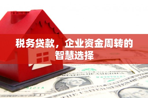 临潭税务贷款，企业资金周转的智慧选择
