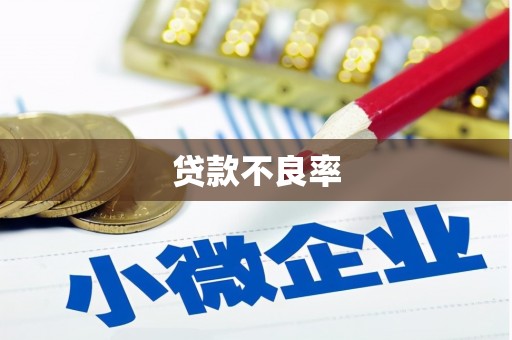 临潭贷款不良率